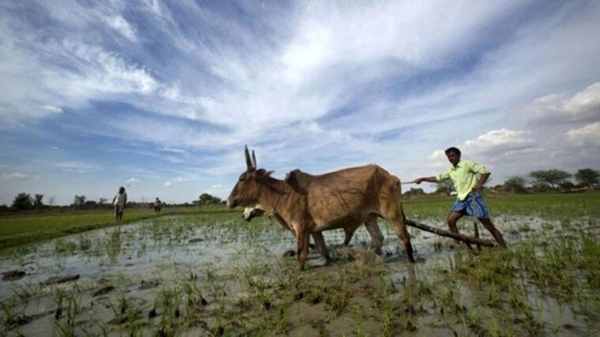 Blog: विकसित खेती’ का संकल्प, क्या यह बदल पाएगा किसानों की किस्मत?