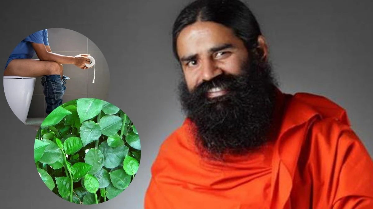 खाली पेट चबाकर खा लें ये 3 हरी पत्तियां, भयंकर से भयंकर बवासीर 7 दिन में हो जाएगी ठीक, बाबा रामदेव ने बताए फायदे