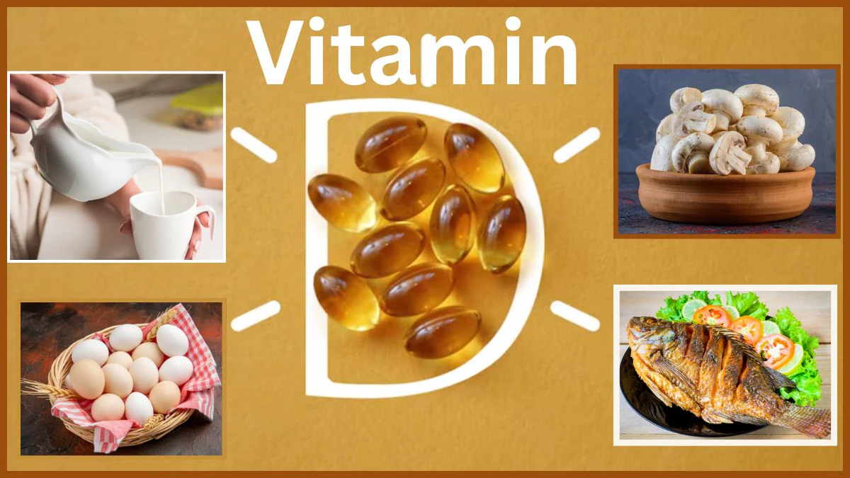 बॉडी में हो गई है Vitamin D की कमी? खाने में शामिल करें ये 5 फूड; धूप में जाए बिना ही होगी रिकवरी