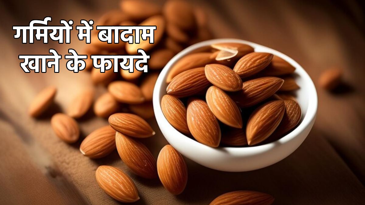 सिर्फ 1 मुट्ठी बादाम का सेवन आपकी बॉडी के इन 5 जरूरी अंगों को पहुंचा सकता है फायदा, दिमाग की तेज कर सकता है रफ्तार, जानिए कैसे
