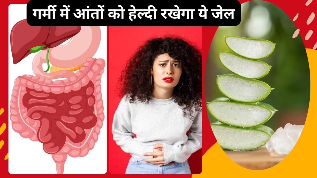 Aloe vera for summer: गर्मी में आंतों की सूजन को कंट्रोल करता है ये ठंडा जेल, रोज पानी में मिलाकर पी लें, मेटाबॉलिज्म होगा बूस्ट मिलेंगे 4 फायदे