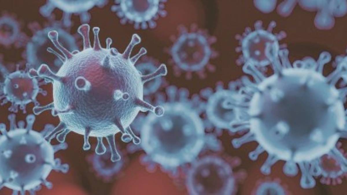 Covid-19 Cases in India LIVE: बीते नौ दिनों में कोविड-19 से संक्रमित 6 लोगों की मौत, केरल में सबसे ज्यादा एक्टिव केस