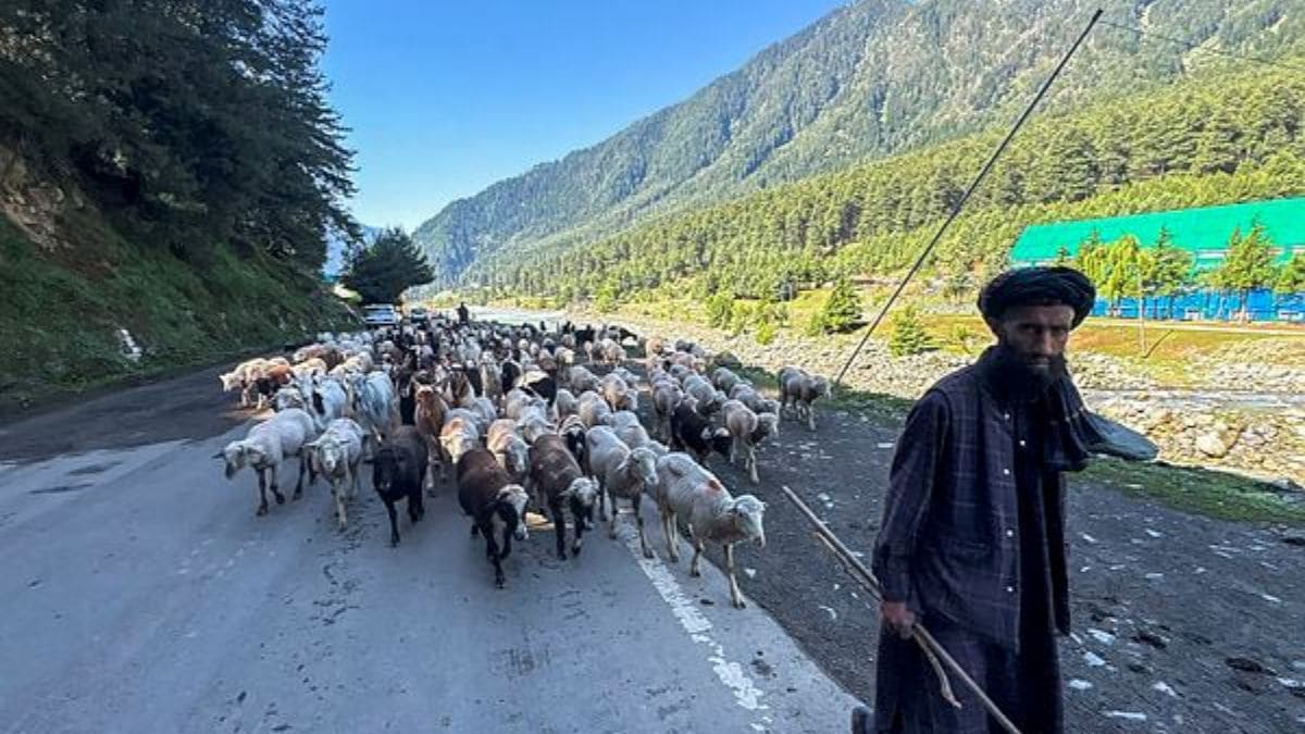 ‘अगर हम इन जगहों पर नहीं जाएंगे, तो कौन जाएगा?’, उमर अब्दुल्ला कैबिनेट की पहलगाम में होगी मीटिंग