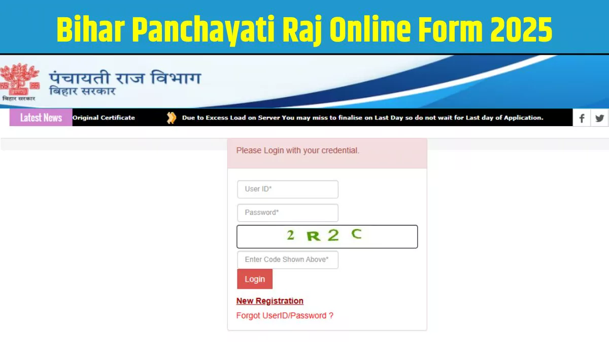 Bihar Panchayati Raj Online Form 2025: बिहार पंचायती राज तकनीकी सहायक भर्ती 2025 में आवेदन का आखिरी मौका आज, इस link से करें अप्लाई