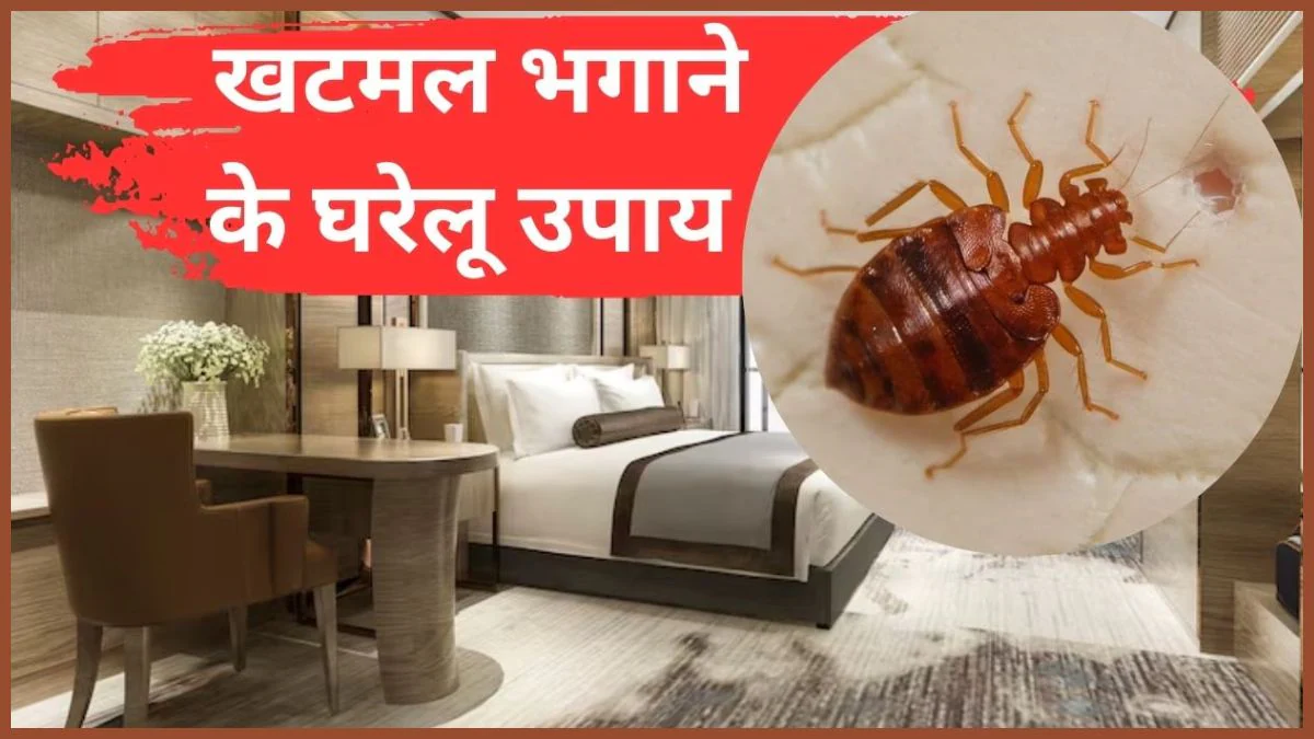 How To Remove Bed Bugs: घर में खटमलों ने मचा रखा है आतंक? इन घरेलू नुस्खों से तुरंत मिलेगा छुटकारा