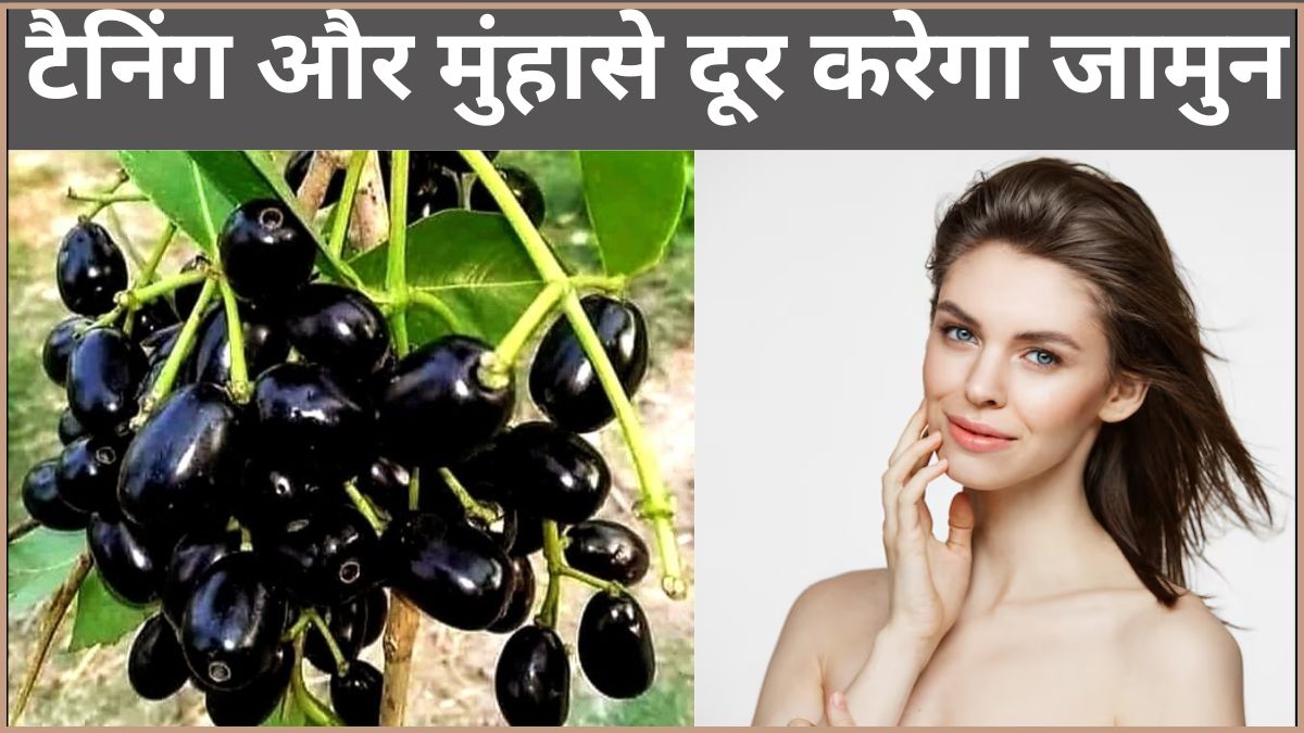 गर्मी में त्वचा का ख्याल रखते हैं जामुन के बीज, इस तरह करें उपयोग; झाइयां से लेकर झुर्रियों तक हो जाएंगी गायब