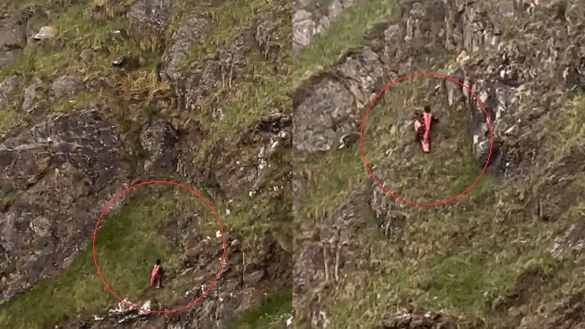 बिना किसी हारनेस के सरसराते हुए पहाड़ों पर चढ़ गई युवती, Viral Video देख यूजर्स हुए दंग, कहा – यह तो स्पाइडरमैन…
