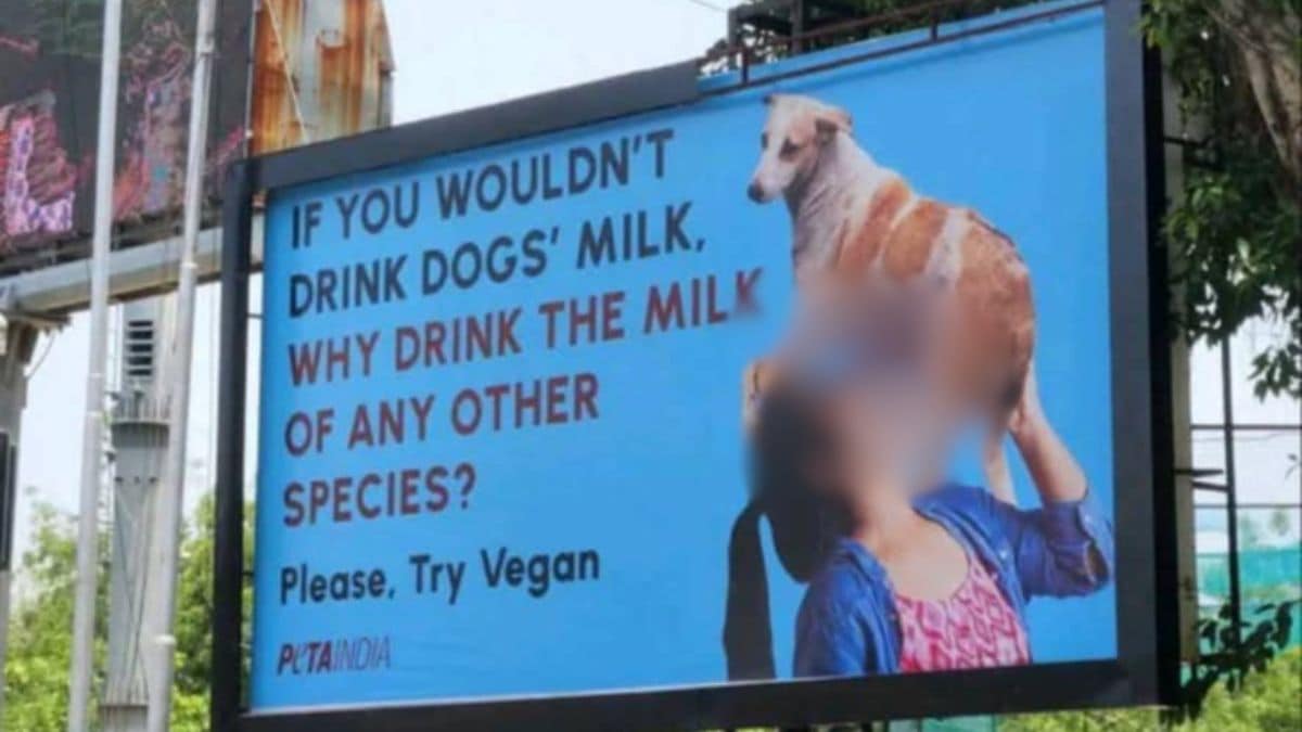 ‘अगर आप डॉगी का दूध नहीं पी सकते तो…’, PETA के नए ऐड को लेकर बवाल, Vegan होने के लिए प्रेरित करने के तरीके से भड़के लोग