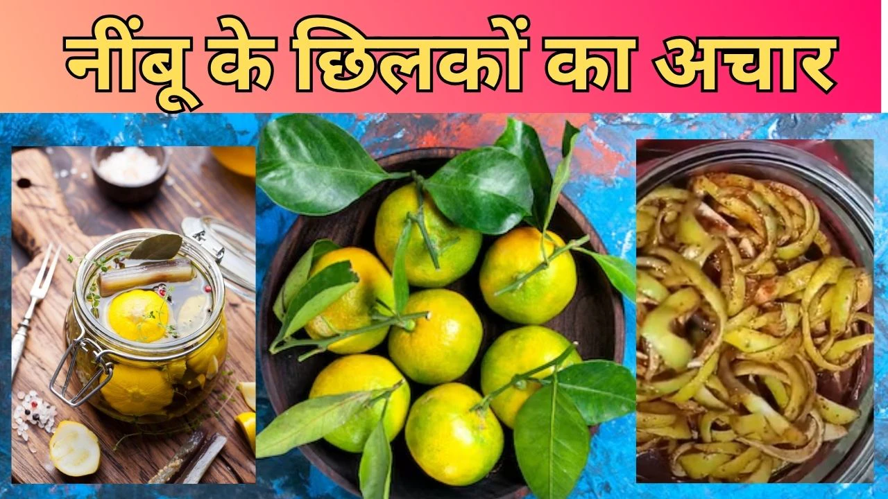नींबू के छिलकों से बनाएं टेस्टी लच्छे वाला अचार, सालों-साल नहीं होगा खराब, नोट करें रेसिपी