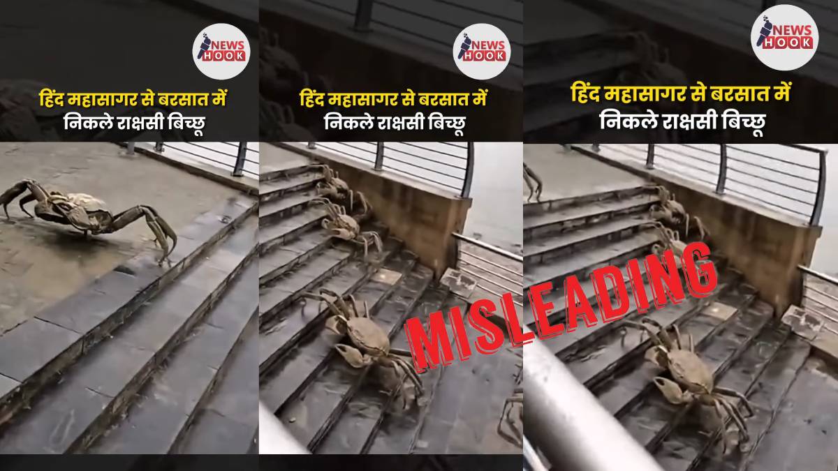 Fact Check: केकड़ों की आकृतियों का वीडियो गलत दावों के साथ शेयर