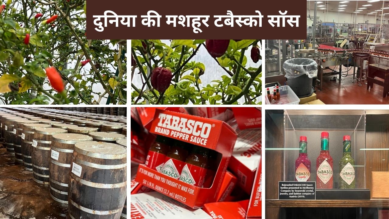 एवरी आइलैंड की सैर: जहां बनती है दुनिया की मशहूर टबैस्को सॉस