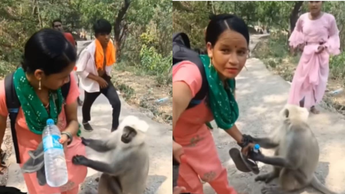 हाथों से पानी का बोतल छीनने लगा बंदर फिर दीदी ने जो किया…, Viral Video देख यूजर्स बोले – सालम है आपको