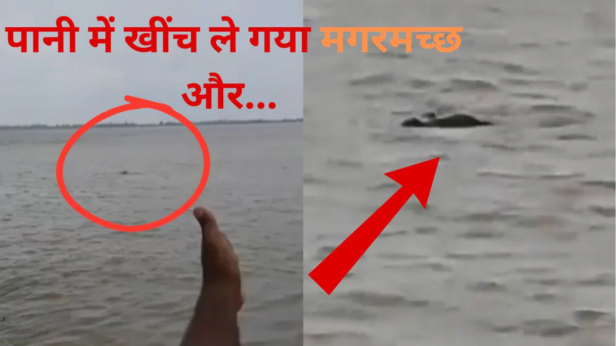 लड़के को नदी में खींच ले गया मगरमच्छ, पहले पैर को दबोचा फिर जबड़े में पकड़ी गर्दन और…, Viral Video देख कांप जाएगा कलेजा
