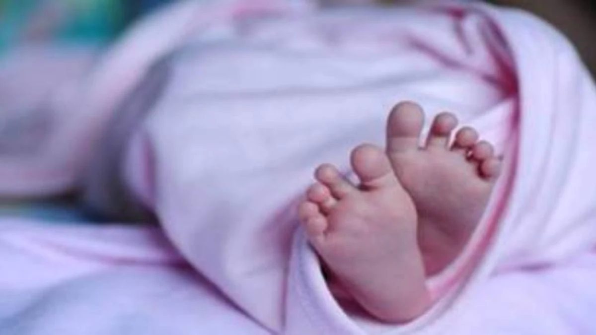 तमिलनाडु : नर्स ने नवजात का काटा अंगूठा, प्रोसीजर के दौरान फोन का इस्तेमाल करने का आरोप, जांच शुरू