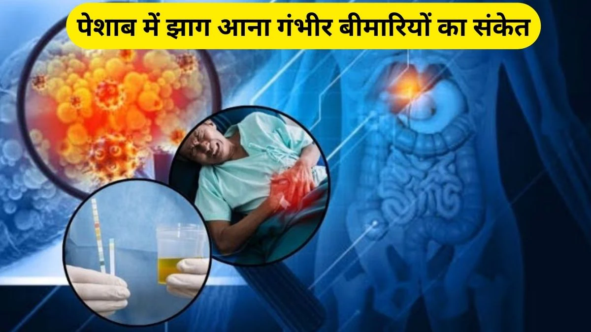 झागदार पेशाब कई खतरनाक बीमारियों के संकेत, हो सकते हैं 5 बड़े कारण, Foamy Urine से बचाव के लिए ये करें उपाय