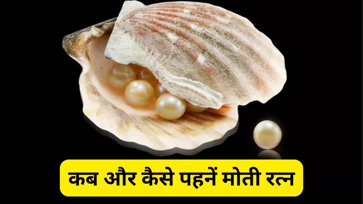किस दिन और किस उंगली में पहनें मोती? जानिए चंद्र रत्न धारण करने का सही तरीका
