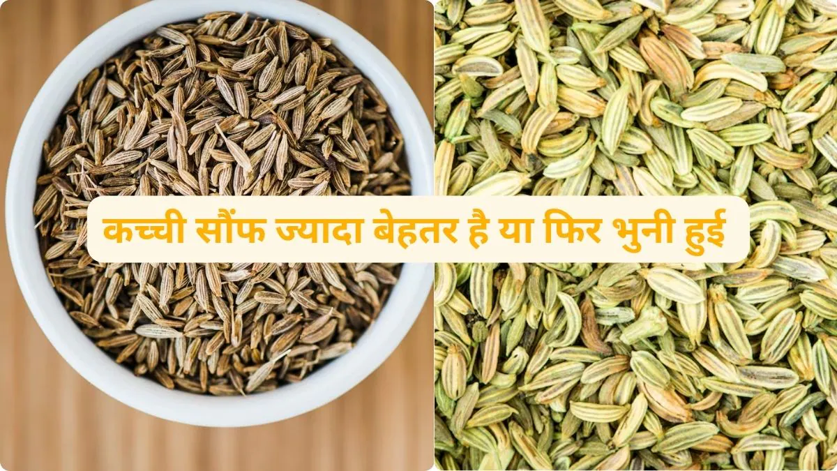 खाना हज़म करने के लिए भुनी हुई सौंफ खाएं या फिर कच्ची, किस तरह Fennel Seeds खाने से होता है ज्यादा फायदा, जानिए