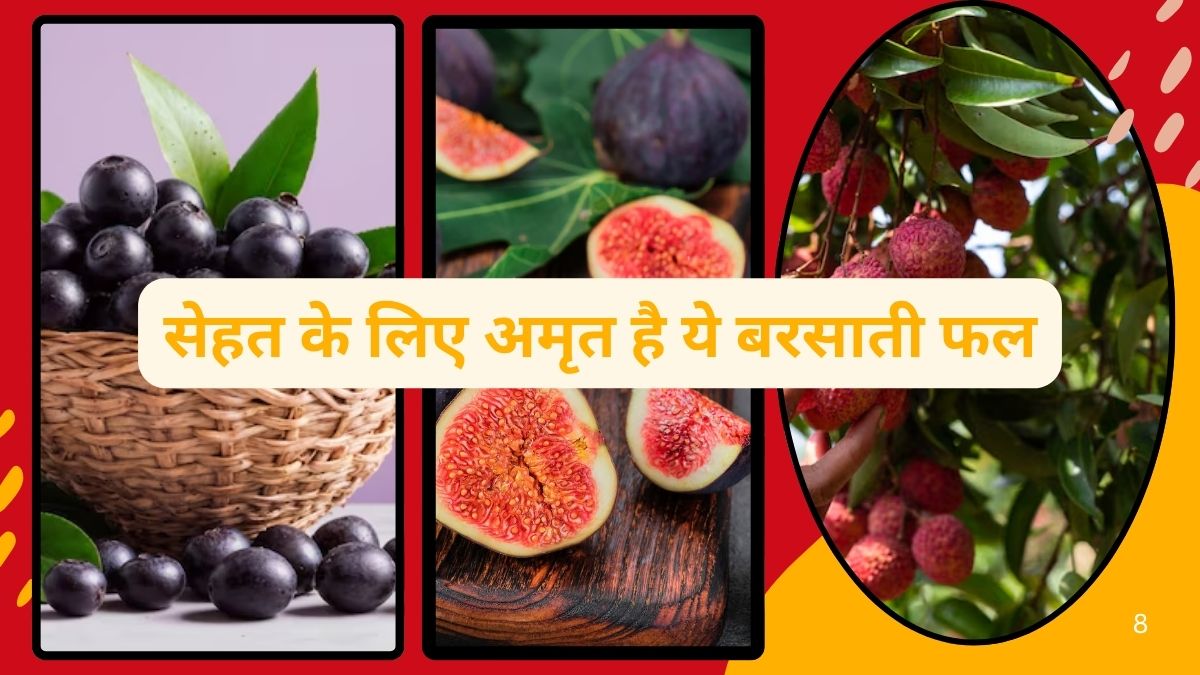 Monsoon Diet: मानसूनी फल है जामुन, लीची और अंजीर, गर्मी में रोज़ खा लें 1 फ्रूट तो बीमार नहीं पड़ेंगे, बरसात में लेयर की तरह रखेंगे महफूज़
