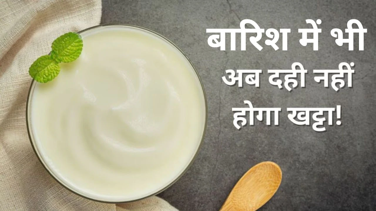 मानसून में दही को खट्टा होने से बचाने के लिए अपनाएं ये तरीके, लंबे समय तक स्टोर करने के बाद भी नहीं बदलेगा स्वाद