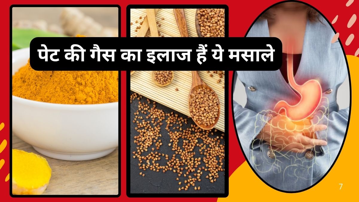 खाने के तुरंत बाद 3 हर्ब्स को निगल लें, अपने आप हो जाएगा गैस और एसिडिटी का इलाज, गैस्ट्रोएन्टेरोलॉजिस्ट ने दिया मंत्र