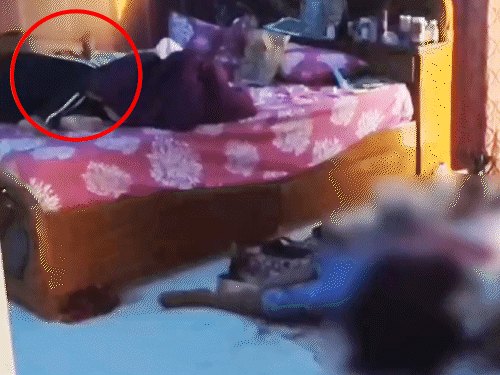 कर्नाटक में डॉक्टर की घर में हत्या, बेटा घायल मिला:आरोपी डॉक्टर पत्नी बॉडी के पास मोबाइल चलाती रही, हिरासत में; VIDEO सामने आया