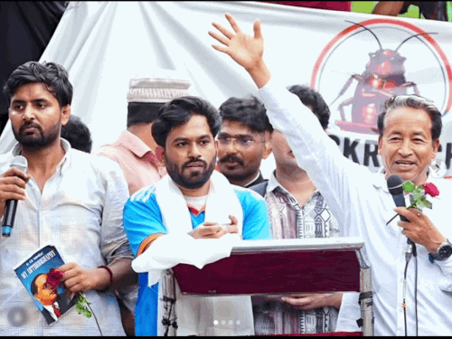 राहुल गांधी ने कहा- ₹2.25 लाख में बिका UGC-NET पेपर:हरियाणवी एडवोकेट के दावे को आधार बनाया, वो अंडरग्राउंड; छात्र नेताओं से पूछताछ कर रही पुलिस