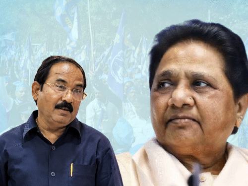 मायावती ने भतीजे आकाश के ससुर को पार्टी से निकाला:कहा- बार-बार चेतावनी देने के बाद भी नहीं सुधरे, अब कभी वापस नहीं लेंगे